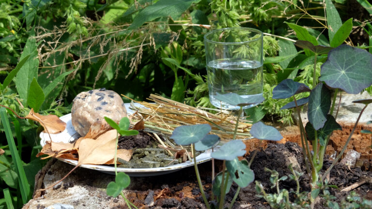Sektglas mit Wasser und Goldrandteller mit Kompost, Kleepellets und Meisenknödel